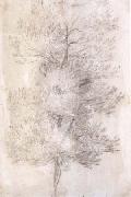 Claude Lorrain A Tree Trunks (mk17) France oil painting artist